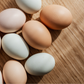 Soy Free Eggs
