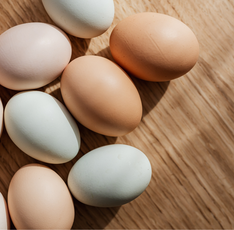 Soy Free Eggs